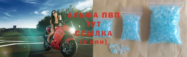 спайс Корсаков