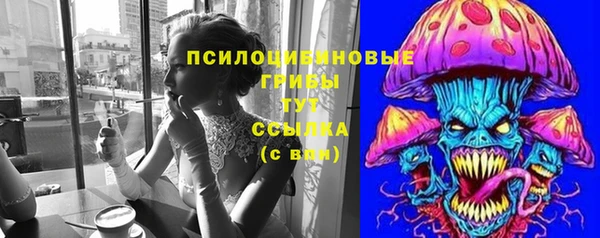 ПСИЛОЦИБИНОВЫЕ ГРИБЫ Нязепетровск