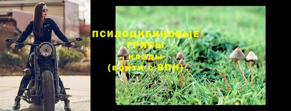 каннабис Няндома