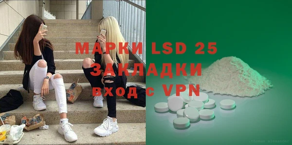 спайс Корсаков